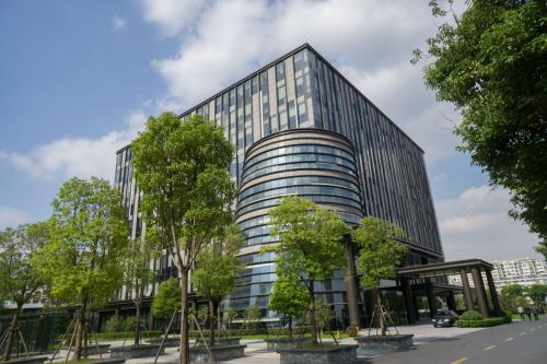 图片展示
